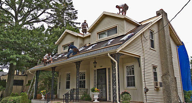 Best Flat Roof Repair Services  in Buena Vista, CO