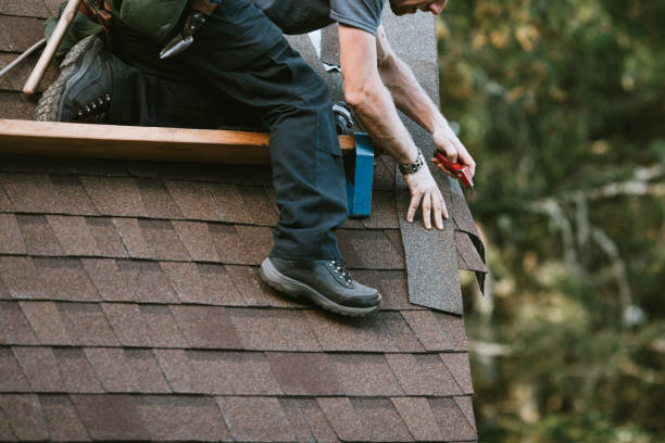 Best Roof Maintenance Services  in Buena Vista, CO